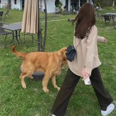荒野中的声音